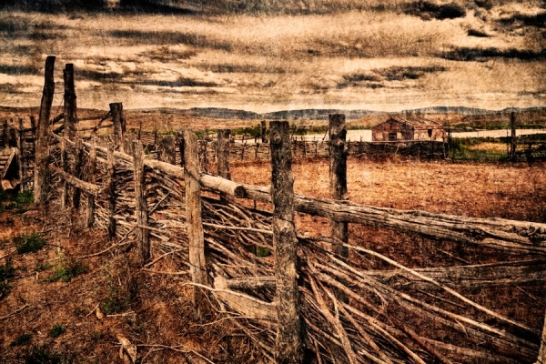Photograph Ric Peterson Ranch Fence on One Eyeland